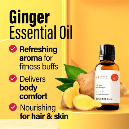 H'Ana Ginger Essential Oil for Hair, Skin, Diffusers, Aromatherapy, and Massage - with a Spicy, Gingery Smell (1 Fl Oz)