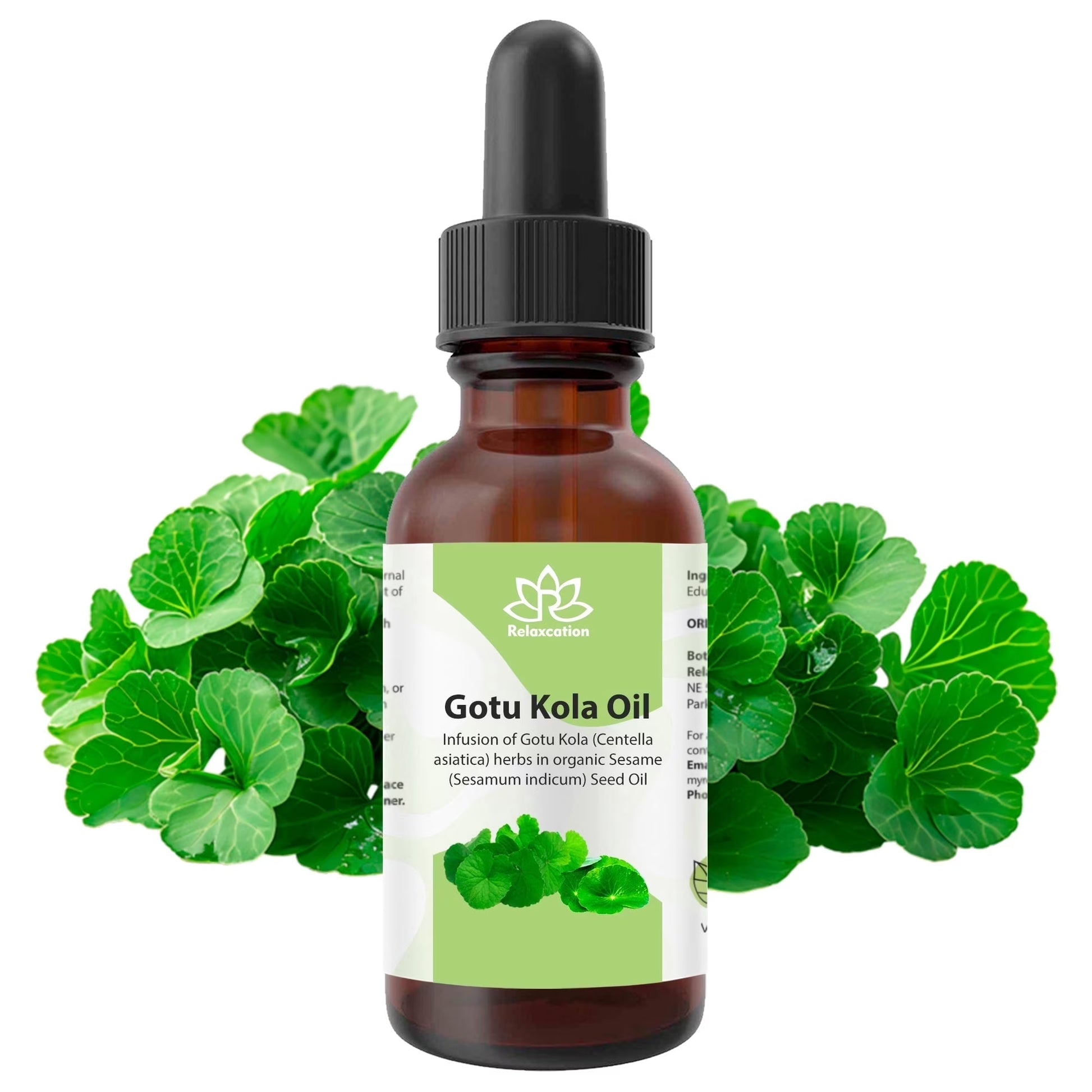 Gotu Kola (Centella Asiatica) Leaf Infused Sesame Oil Ayurvedic Herbal Hair & Skin Oil – Cold-Pressed, Unrefined, Plant-Based (2 Fl Oz)